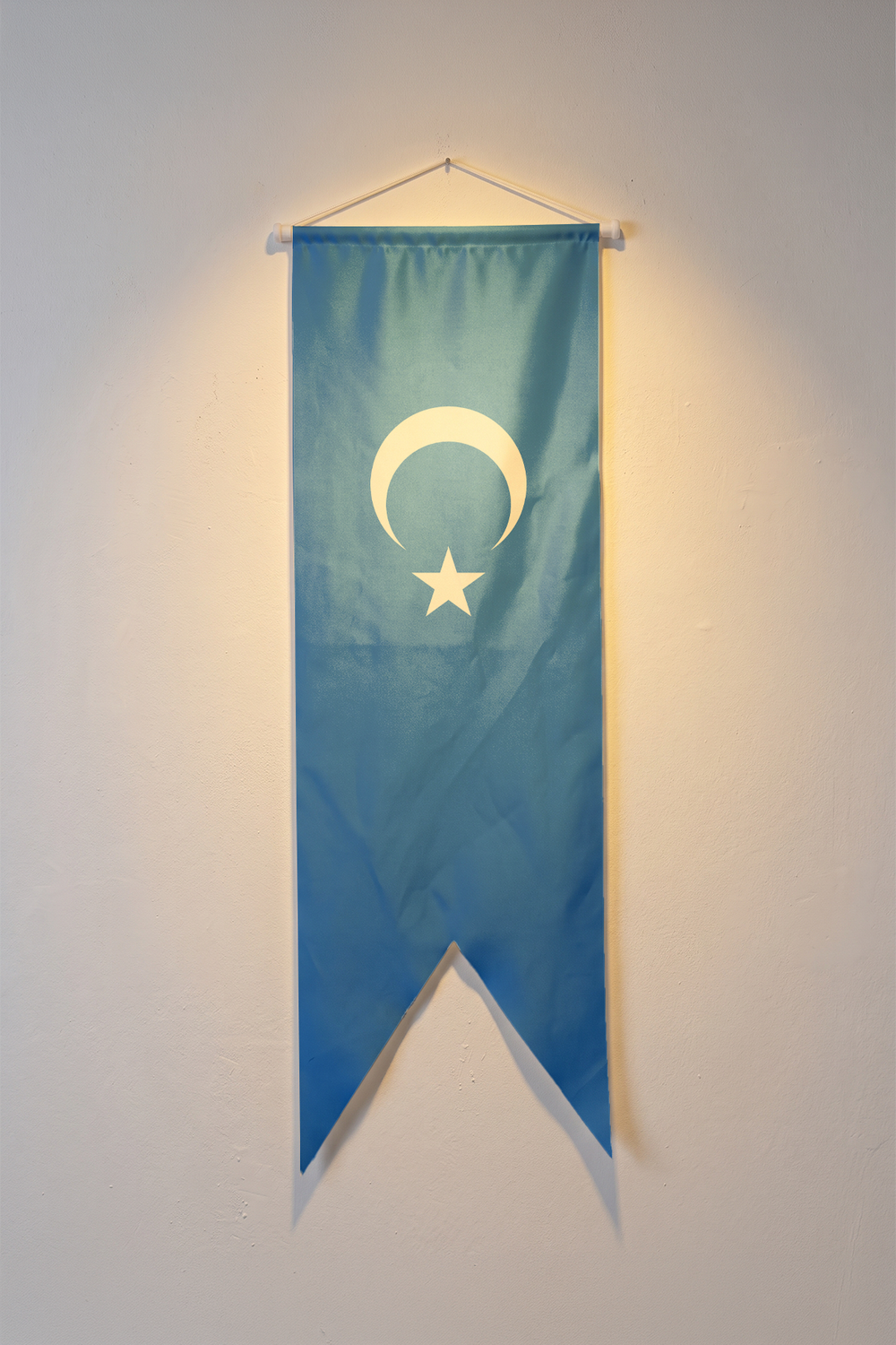 Doğu Türkistan Bayrağı, mavi zemin üzerindeki beyaz ay ve yıldız, V kesim kırlangıç flama
