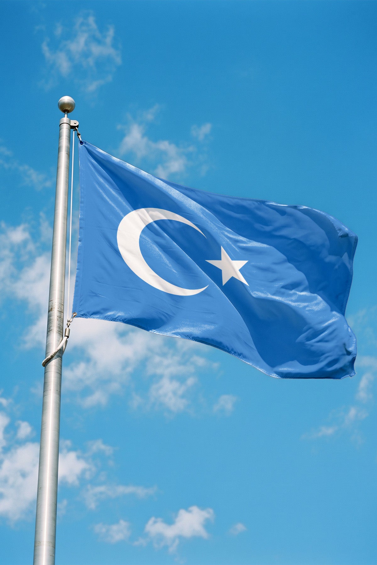 Doğu Türkistan Gönder Bayrağı